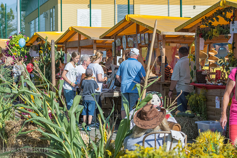 Festiwal Lata w Miękini