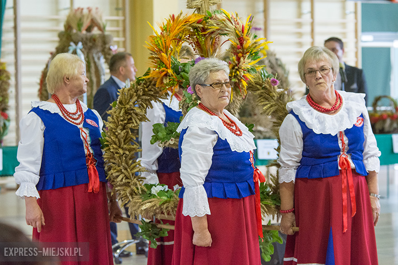 Festiwal Lata w Miękini
