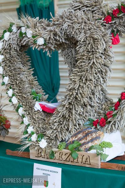 Festiwal Lata w Miękini