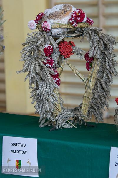 Festiwal Lata w Miękini