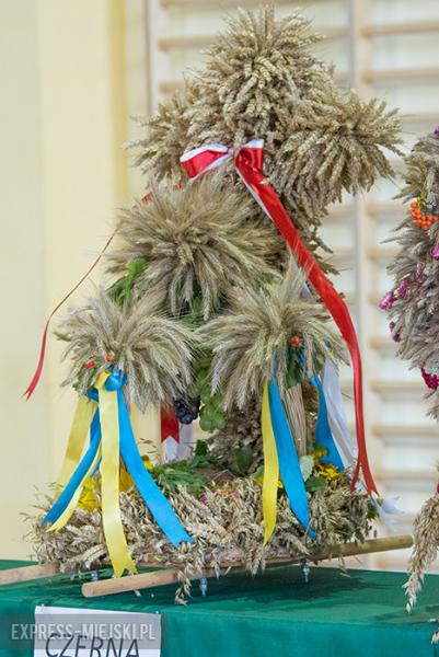 Festiwal Lata w Miękini