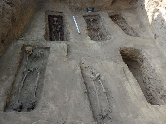 Ekshumacja w Chełmie