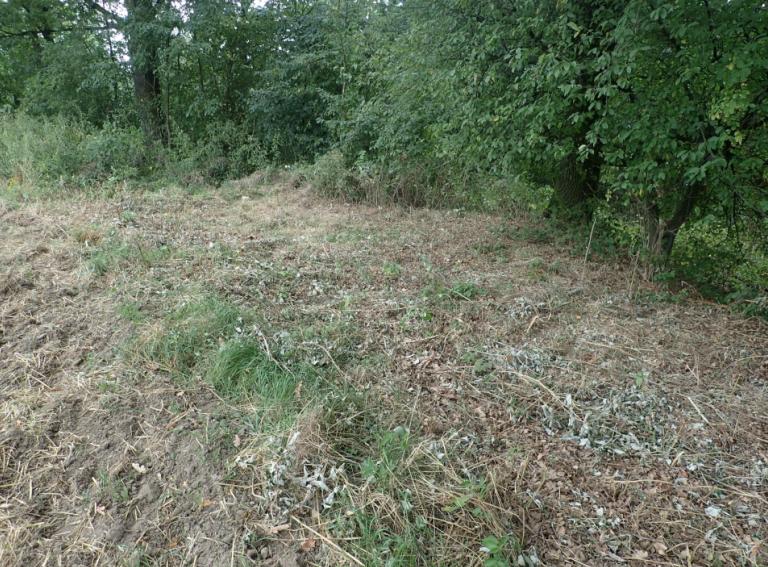 Ekshumacja w Chełmie