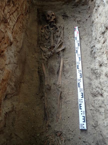 Ekshumacja w Chełmie