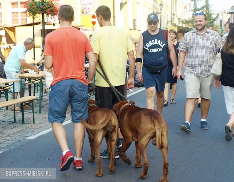 Święto Wina w Mieście Skarbów