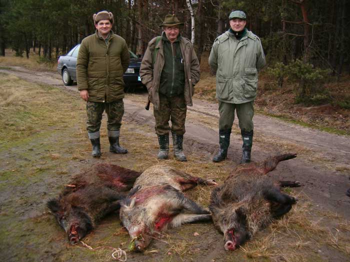 Działalność Koła Łowieckiego "Daniel"