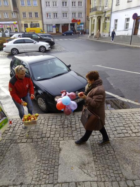 Akcja profilaktyczna w Środzie Śląskiej