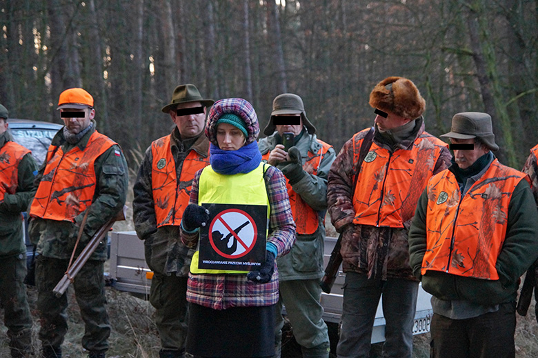 Odstrzał dzików zablokowany