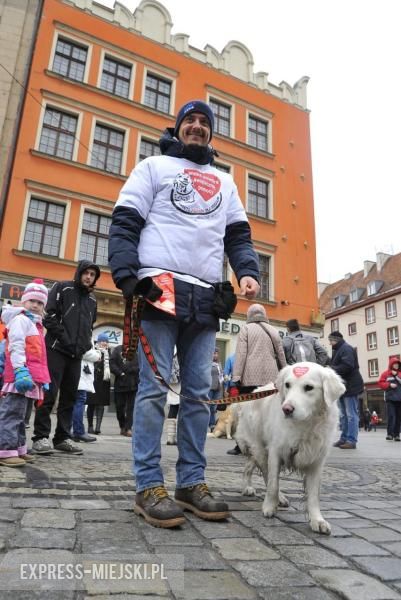 Wielka Orkiestra Świątecznej Pomocy we Wrocławiu