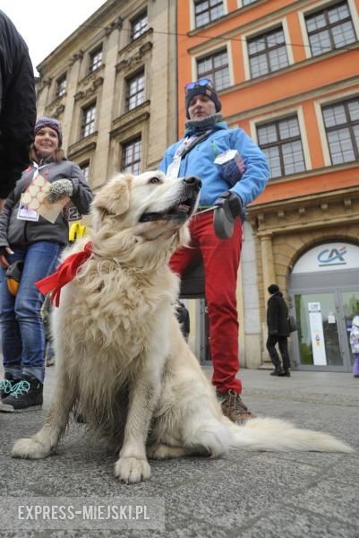 Wielka Orkiestra Świątecznej Pomocy we Wrocławiu