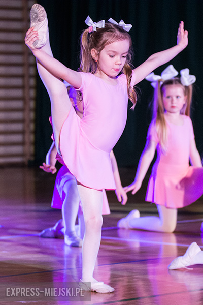 Pokaz tańca w Miękini