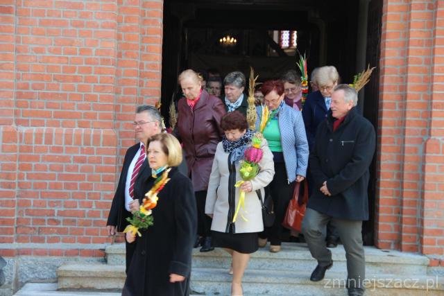 Niedziela Palmowa w Osieku