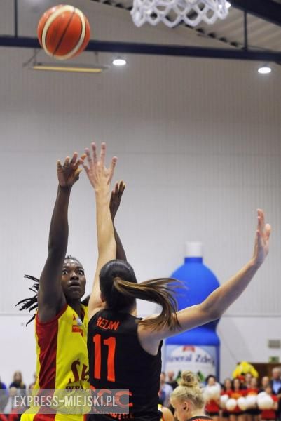 Koszykówka - Ślęza Wrocław - CCC Polkowice