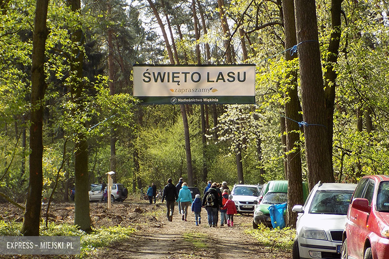 Święto Lasu 2017