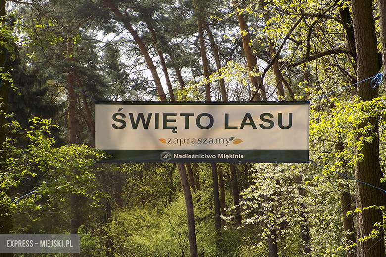 Święto Lasu 2017