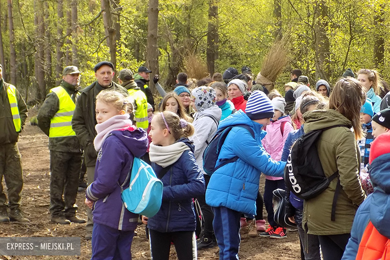 Święto Lasu 2017
