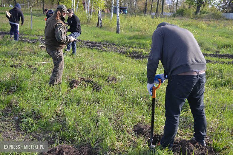 Sadzenie drzewek w Malczycach