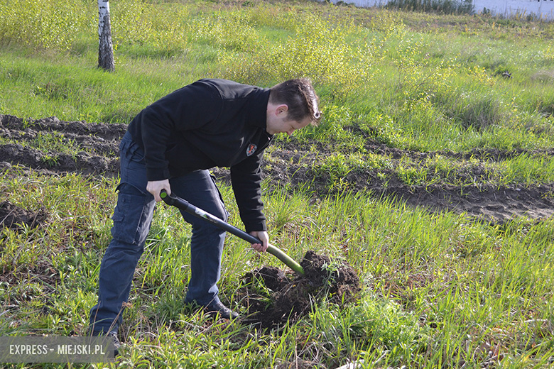 Sadzenie drzewek w Malczycach