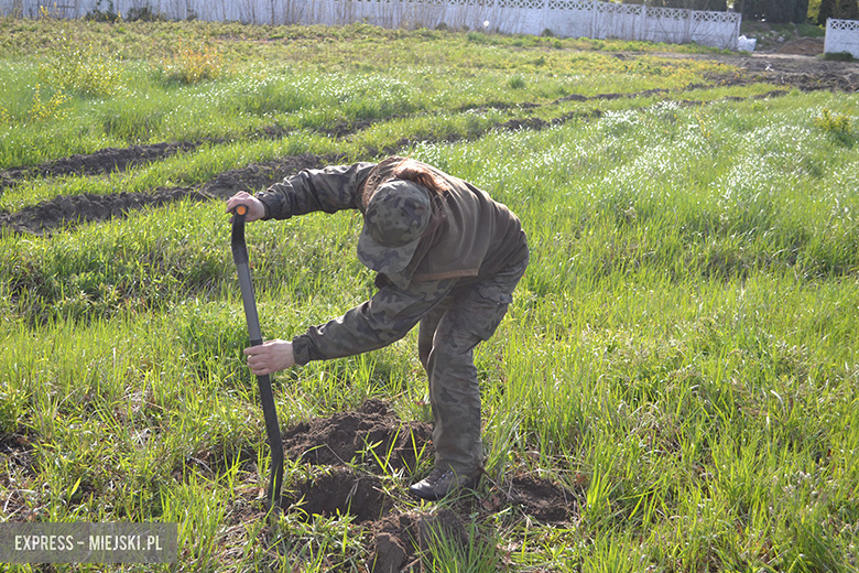 Sadzenie drzewek w Malczycach