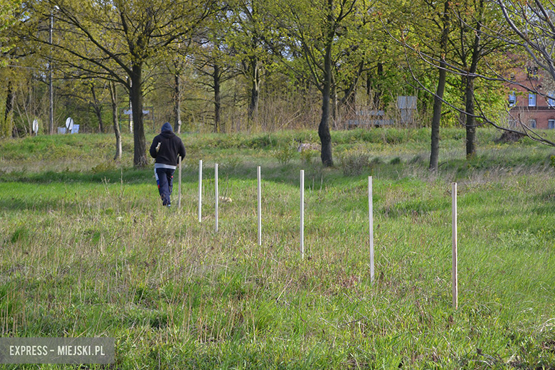 Sadzenie drzewek w Malczycach