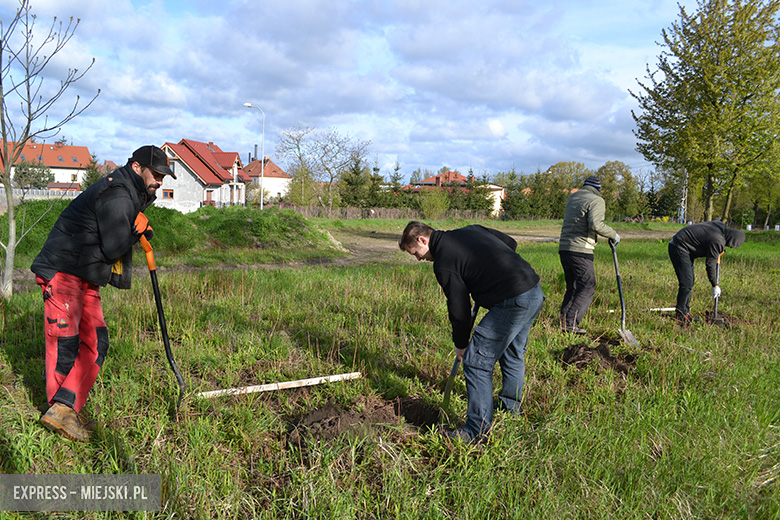 Sadzenie drzewek w Malczycach