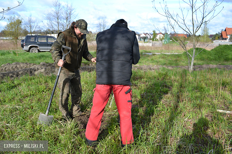 Sadzenie drzewek w Malczycach