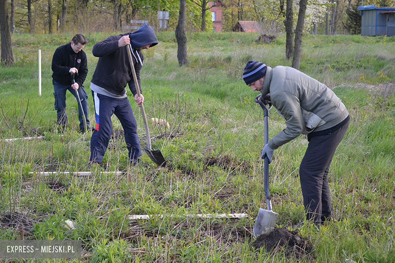 Sadzenie drzewek w Malczycach
