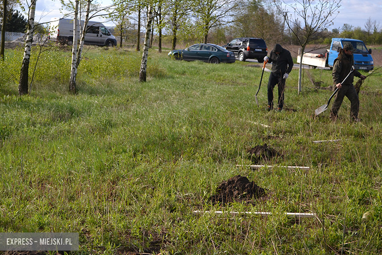 Sadzenie drzewek w Malczycach