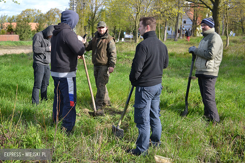 Sadzenie drzewek w Malczycach