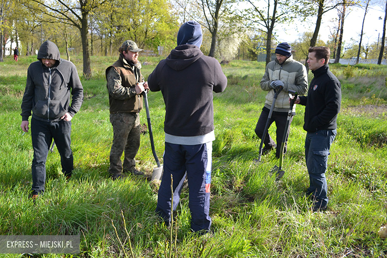 Sadzenie drzewek w Malczycach
