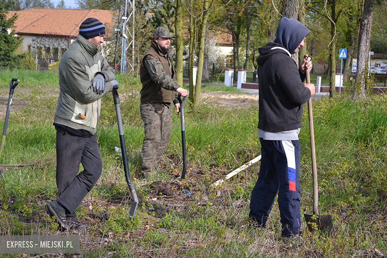 Sadzenie drzewek w Malczycach