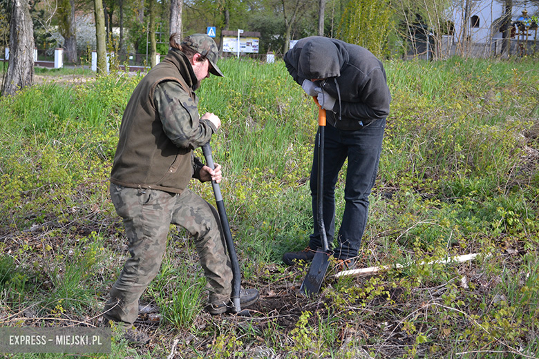 Sadzenie drzewek w Malczycach