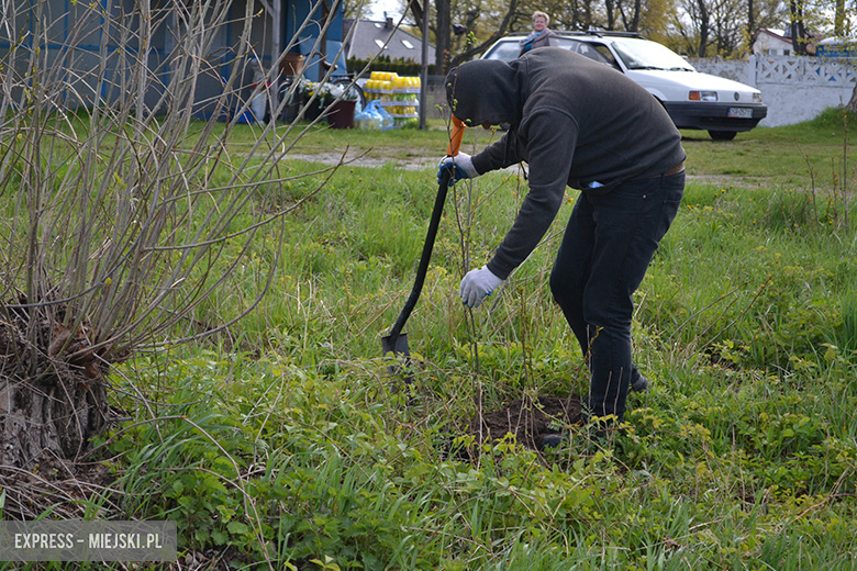 Sadzenie drzewek w Malczycach