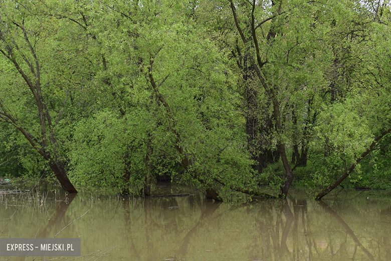 Rzeczka Średzka Woda