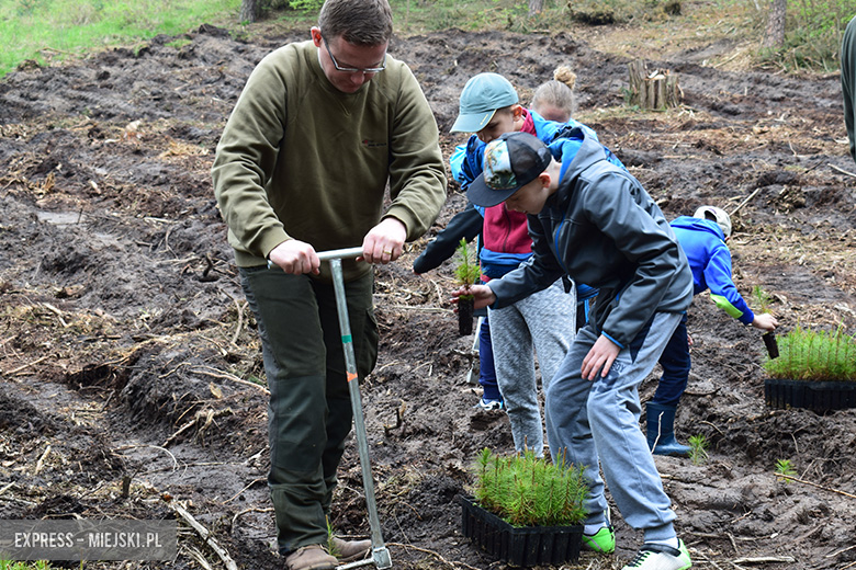 Sadzenie drzewek