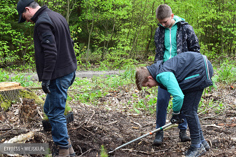Sadzenie drzewek