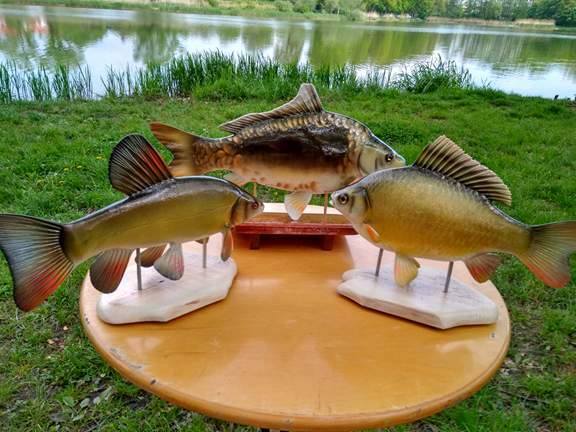 Zawody spławikowe w Wilczkowie