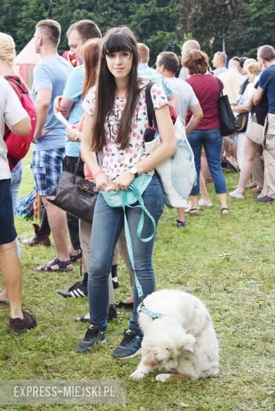 Turniej rycerski w Wojnowicach