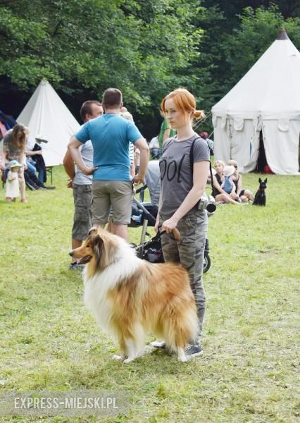 Turniej rycerski w Wojnowicach