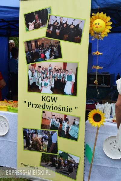 Festiwal muzyczny w Środzie Śląskiej