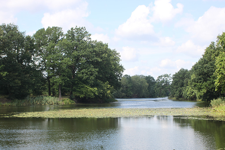 Mistrzostwa w wędkarstwie karpiowym w Brodnie