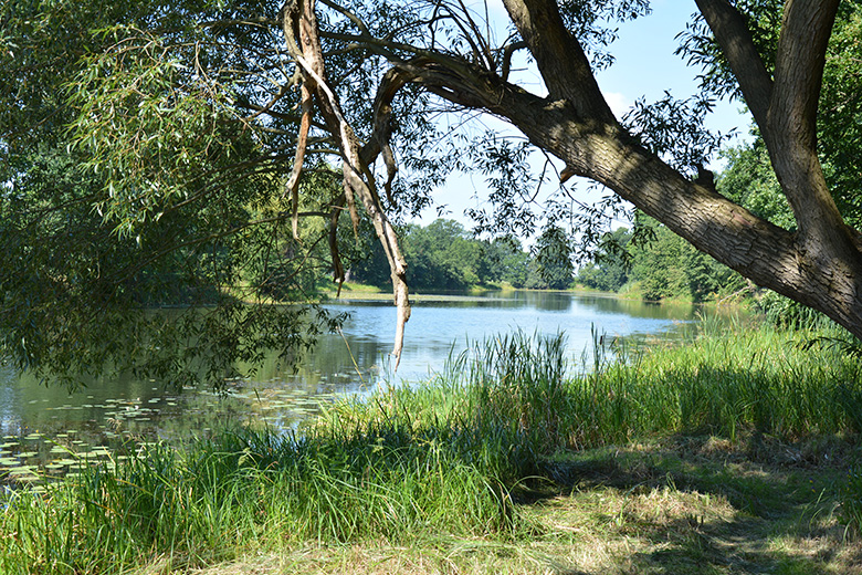 Mistrzostwa w wędkarstwie karpiowym w Brodnie
