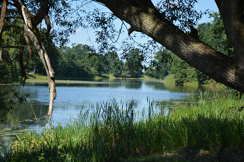 Mistrzostwa w wędkarstwie karpiowym w Brodnie