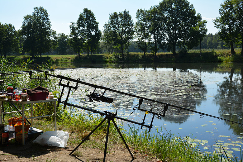 Mistrzostwa w wędkarstwie karpiowym w Brodnie