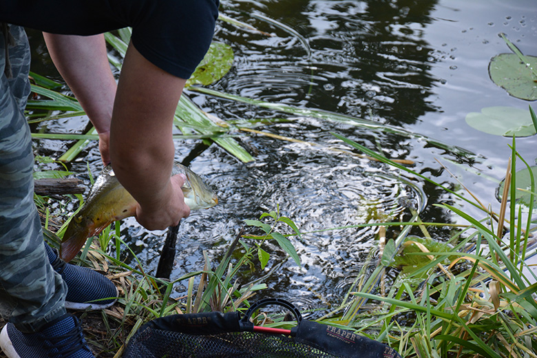 Mistrzostwa w wędkarstwie karpiowym w Brodnie