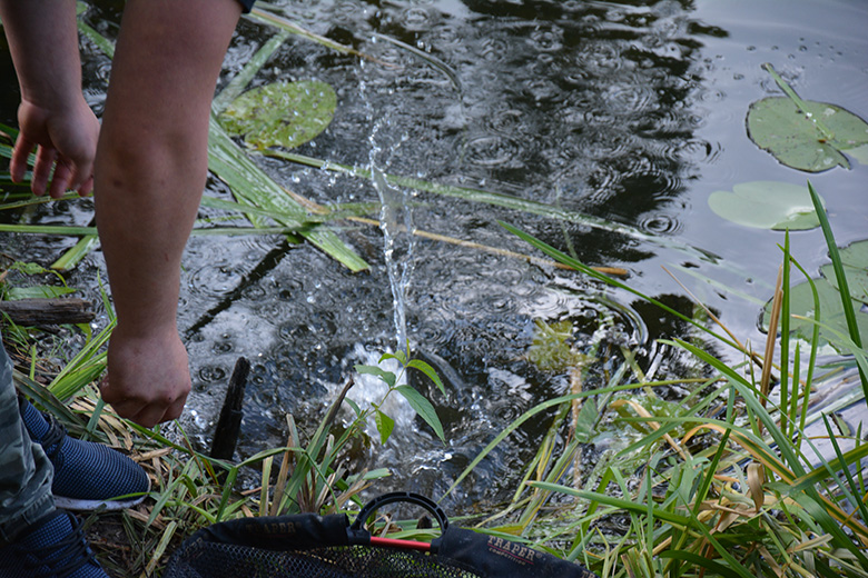 Mistrzostwa w wędkarstwie karpiowym w Brodnie