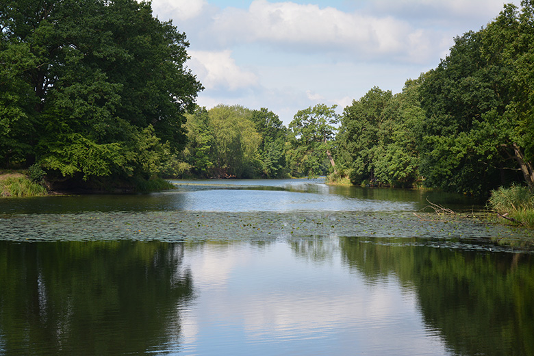 Mistrzostwa w wędkarstwie karpiowym w Brodnie