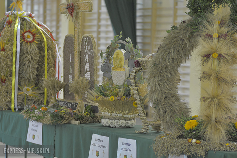 Festiwal Lata w Miękini 2017