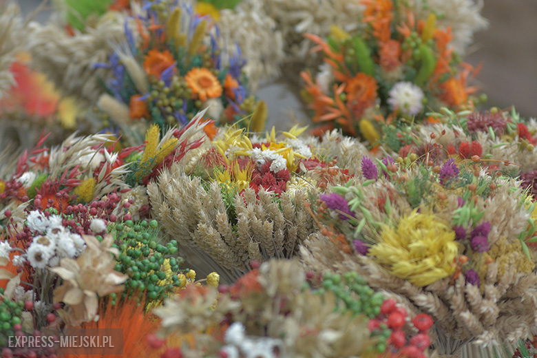 Festiwal Lata w Miękini 2017