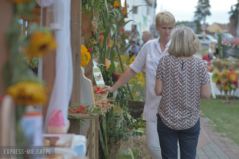 Festiwal Lata w Miękini 2017